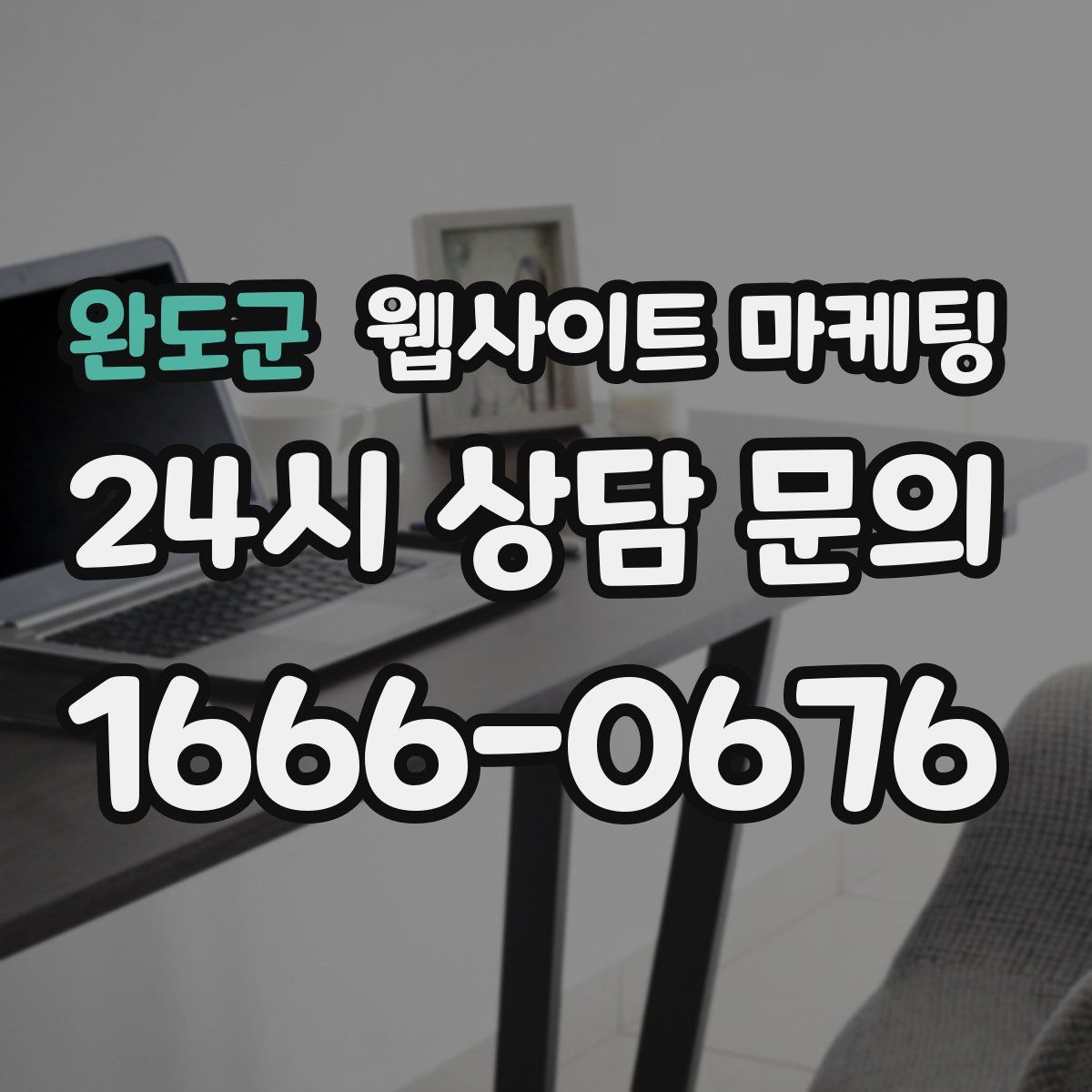 완도군 웹사이트 마케팅