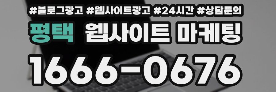 평택 웹사이트 마케팅
