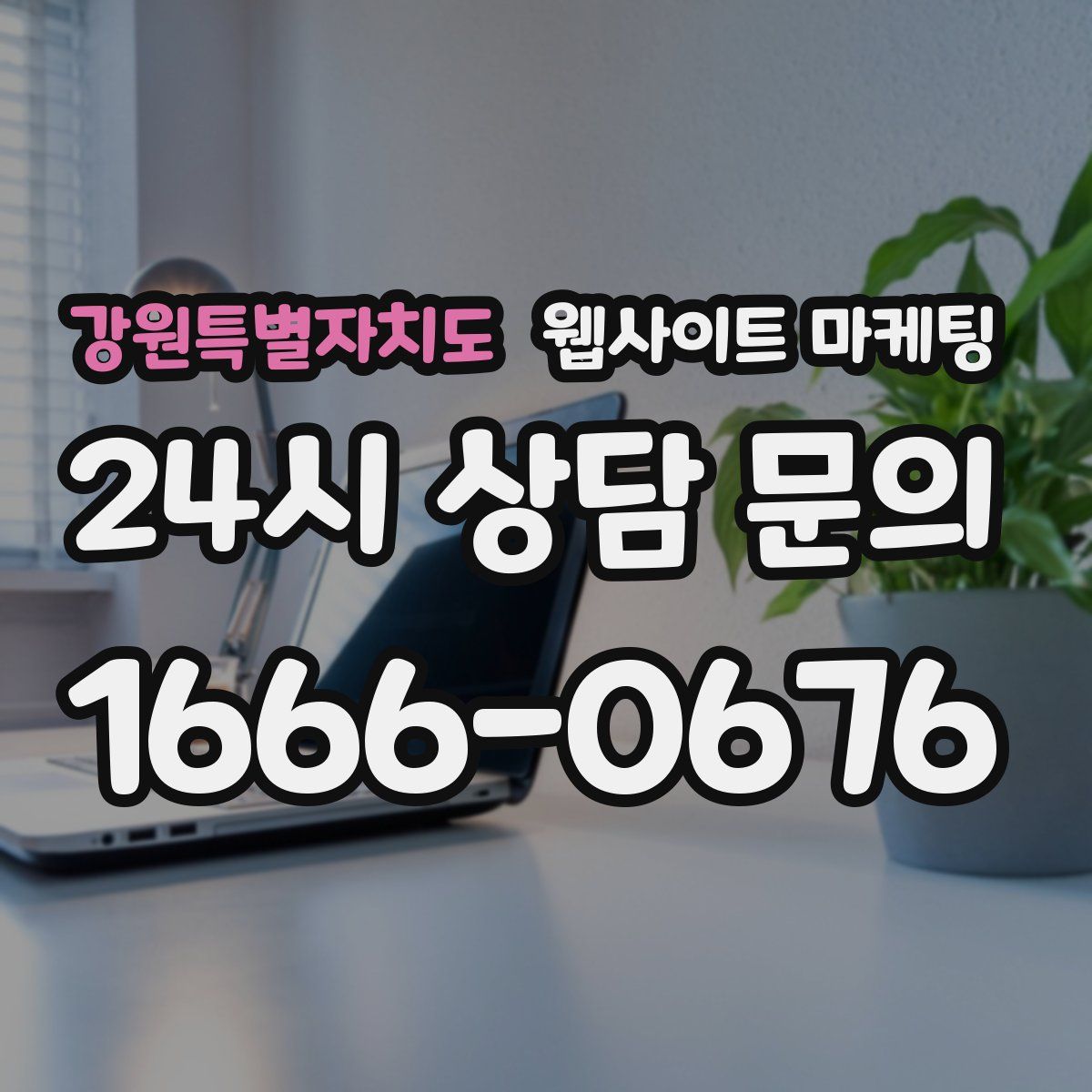 강원특별자치도 웹사이트 마케팅
