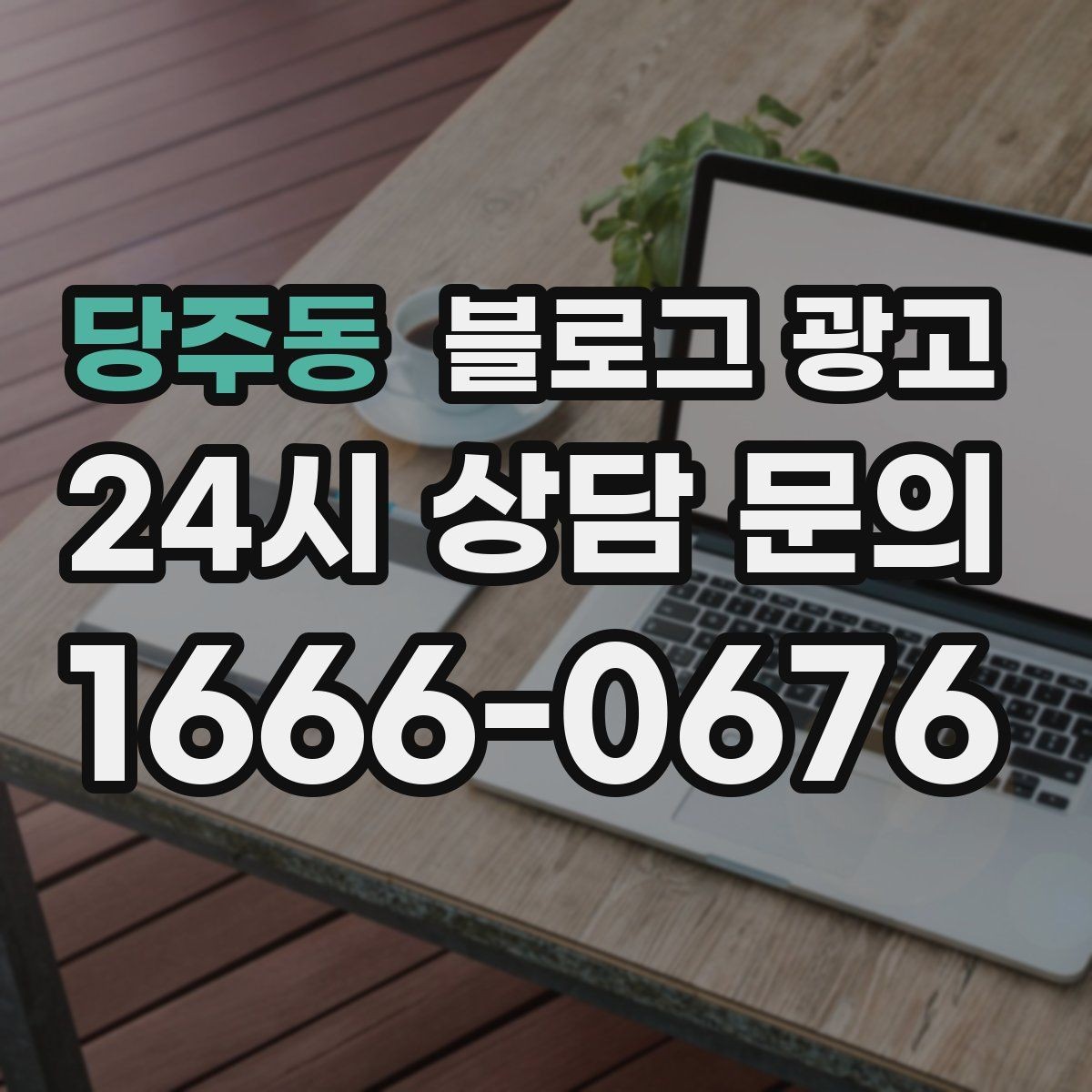 당주동 블로그 광고 여행객이 잠시 들르기 좋은 로컬 가게 소개