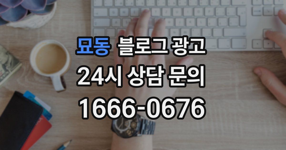 묘동 블로그 광고