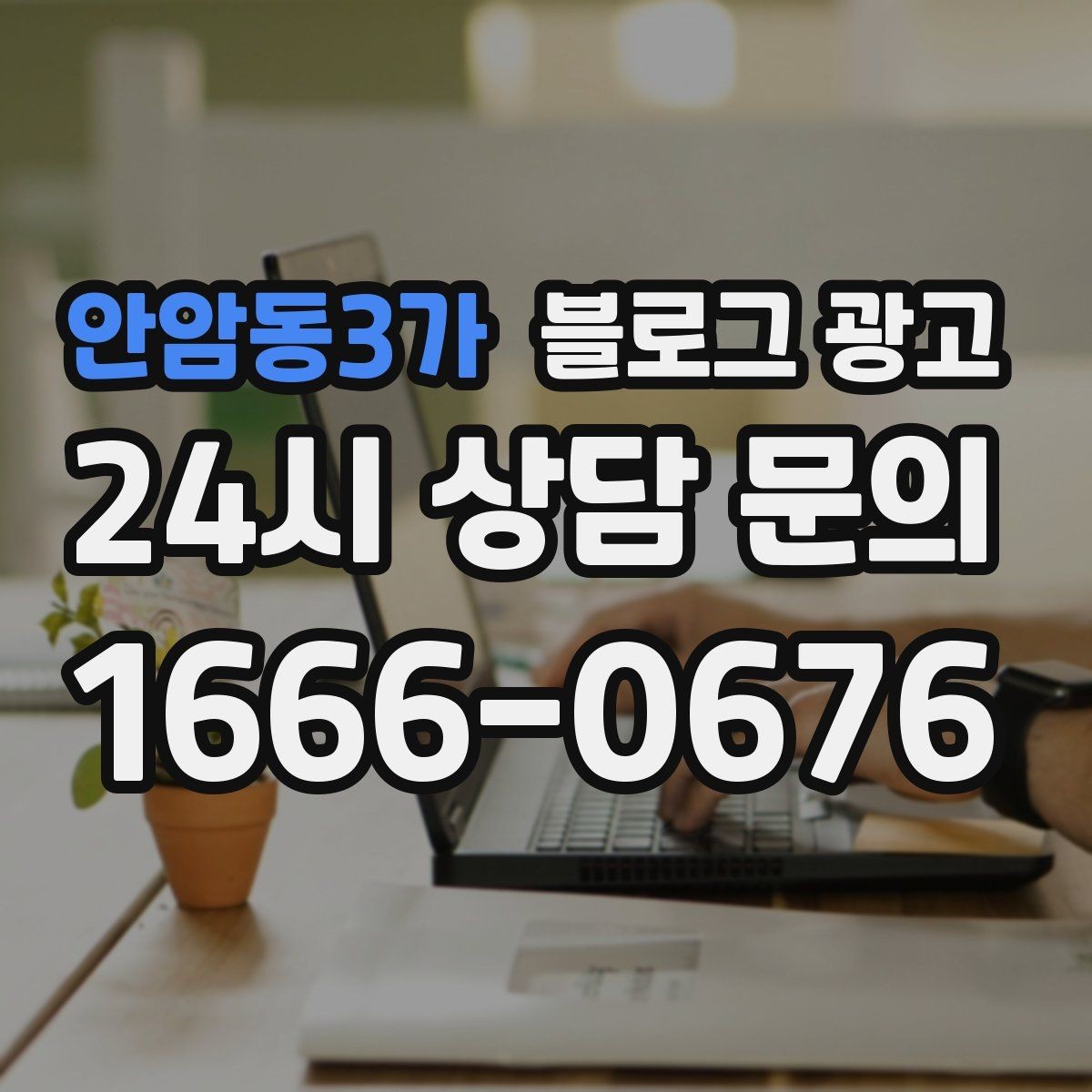 안암동3가 블로그 광고 로컬 재료와 산지 이야기를 전하는 콘텐츠