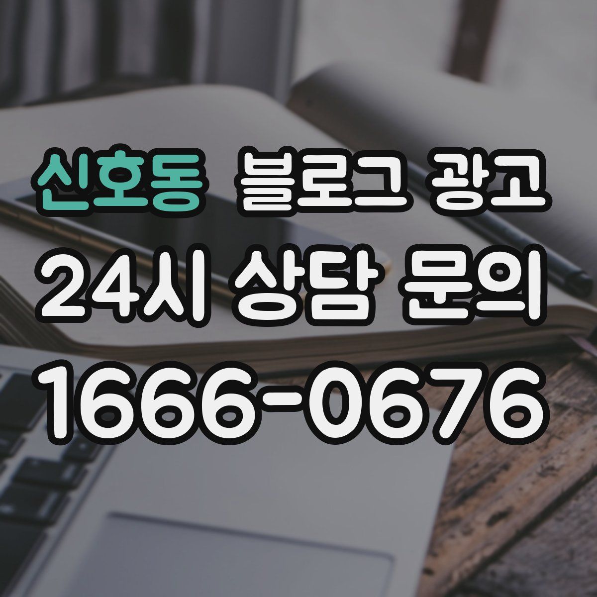 신호동 블로그 광고