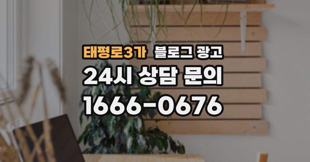 태평로3가 블로그 광고