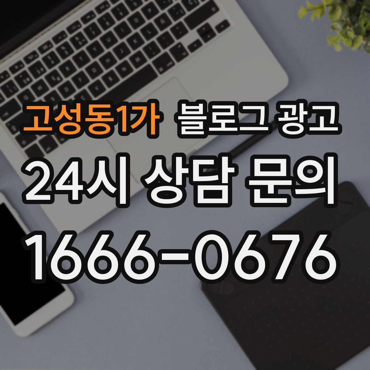 고성동1가 블로그 광고 여행객이 잠시 들르기 좋은 로컬 가게 소개