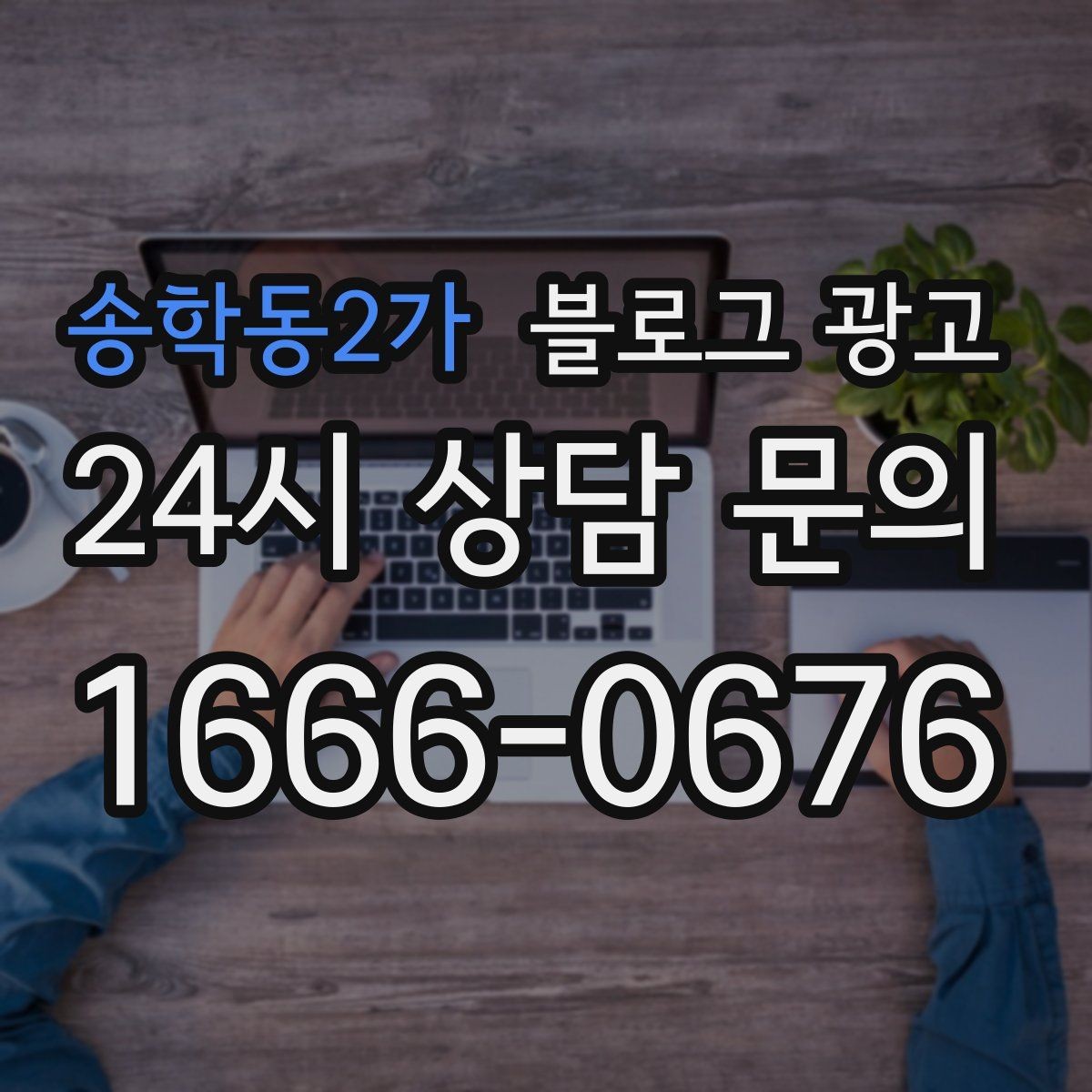 송학동2가 블로그 광고 손님과 함께 만든 추억을 모아 보여 주기