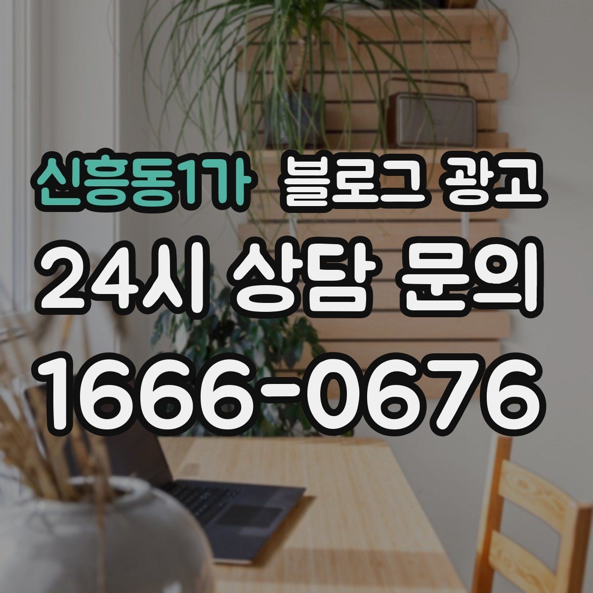 신흥동1가 블로그 광고 확장 계획과 성장 스토리를 조심스럽게 꺼내기