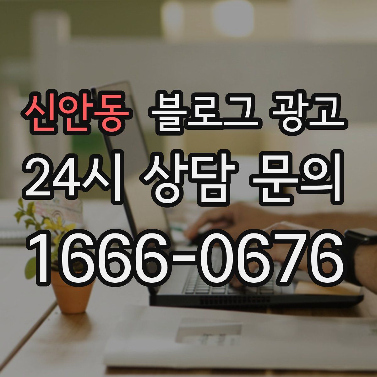 신안동 블로그 광고