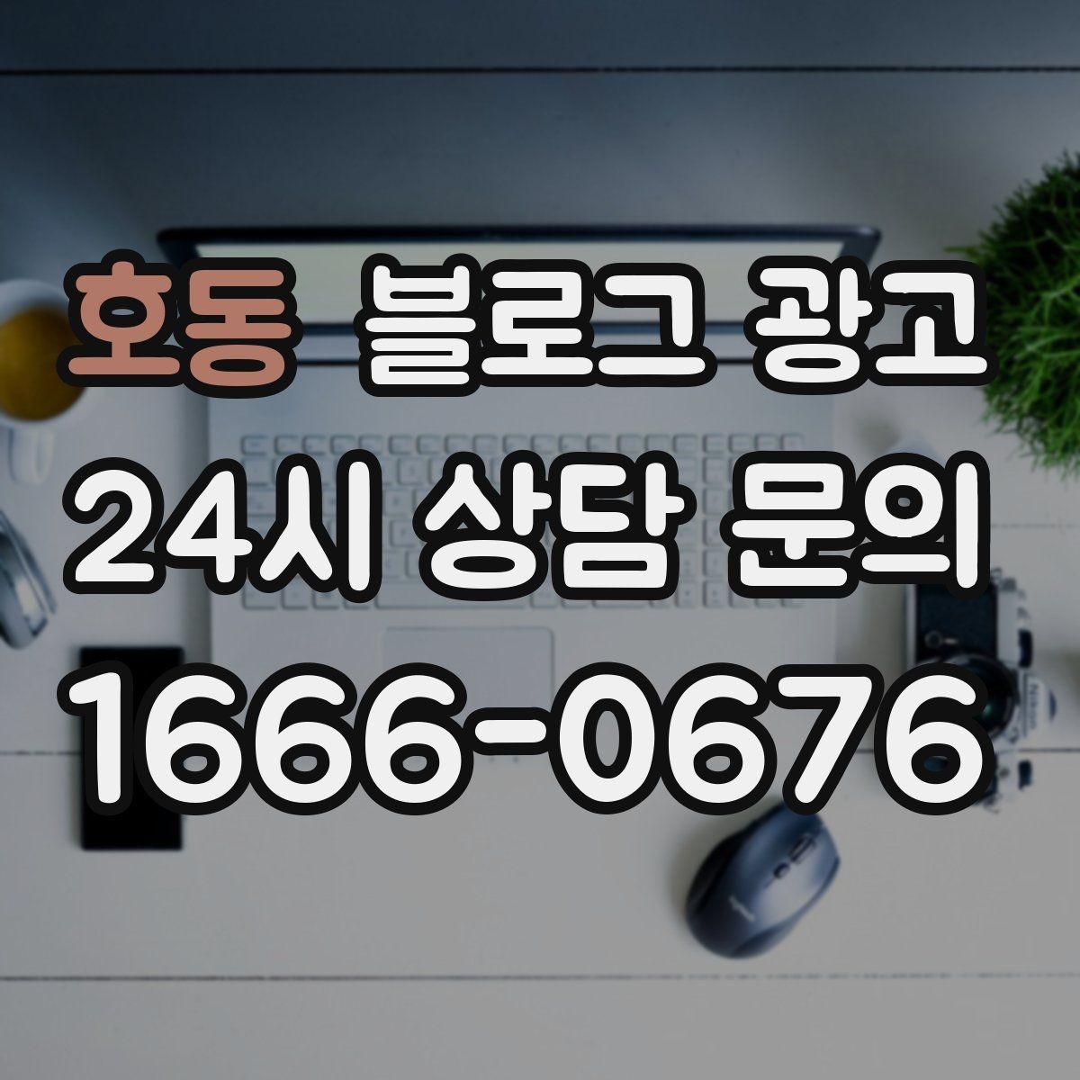 호동 블로그 광고 로컬 재료와 산지 이야기를 전하는 콘텐츠