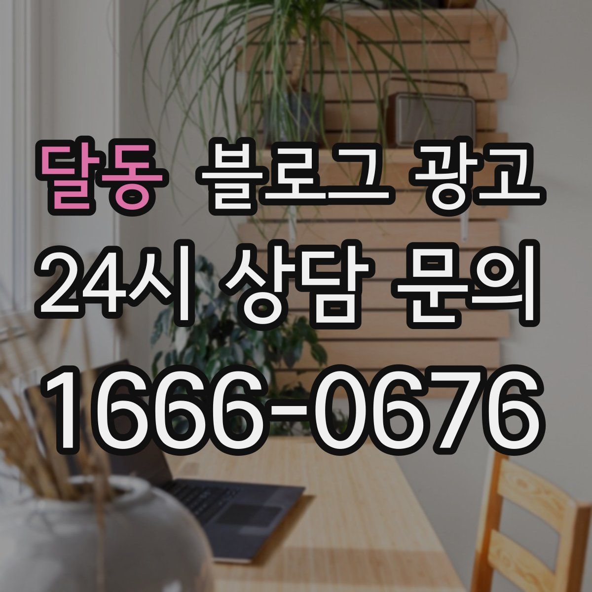 달동 블로그 광고