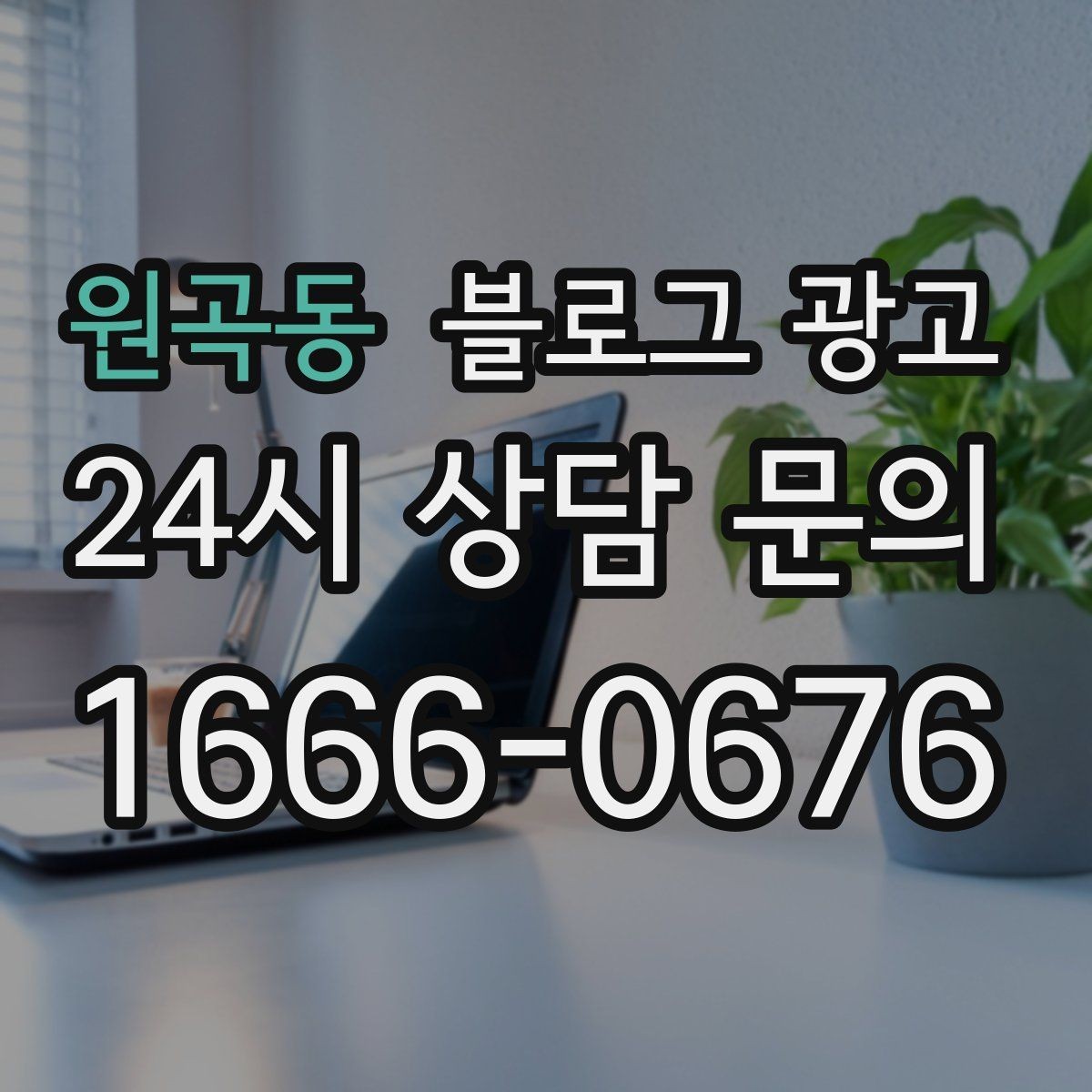 원곡동 블로그 광고 동네 변화 속에서도 자리를 지키는 이야기