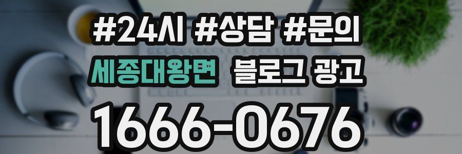 세종대왕면 브랜드 블로그