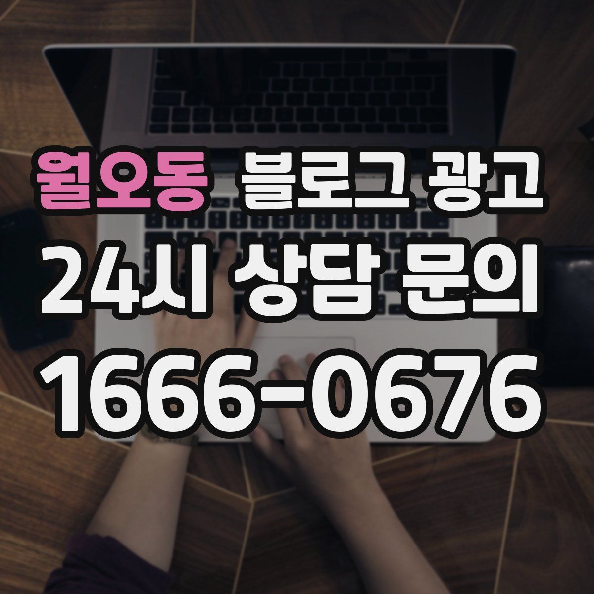 월오동 블로그 광고