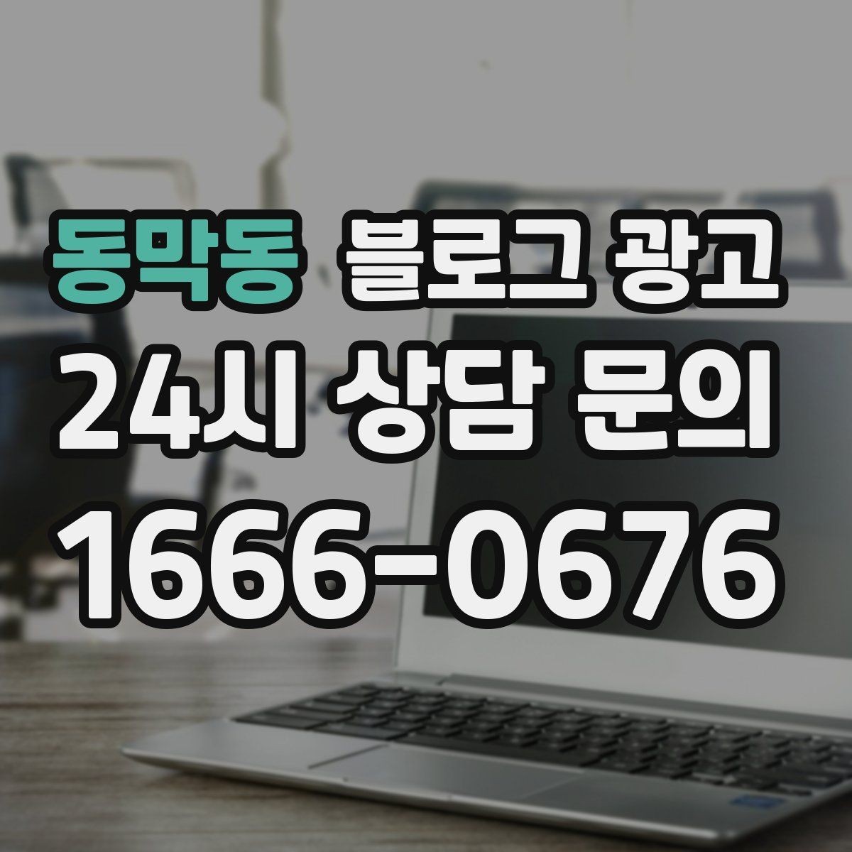 동막동 블로그 광고 계절 한정 메뉴와 시즌 패키지 소개 제목