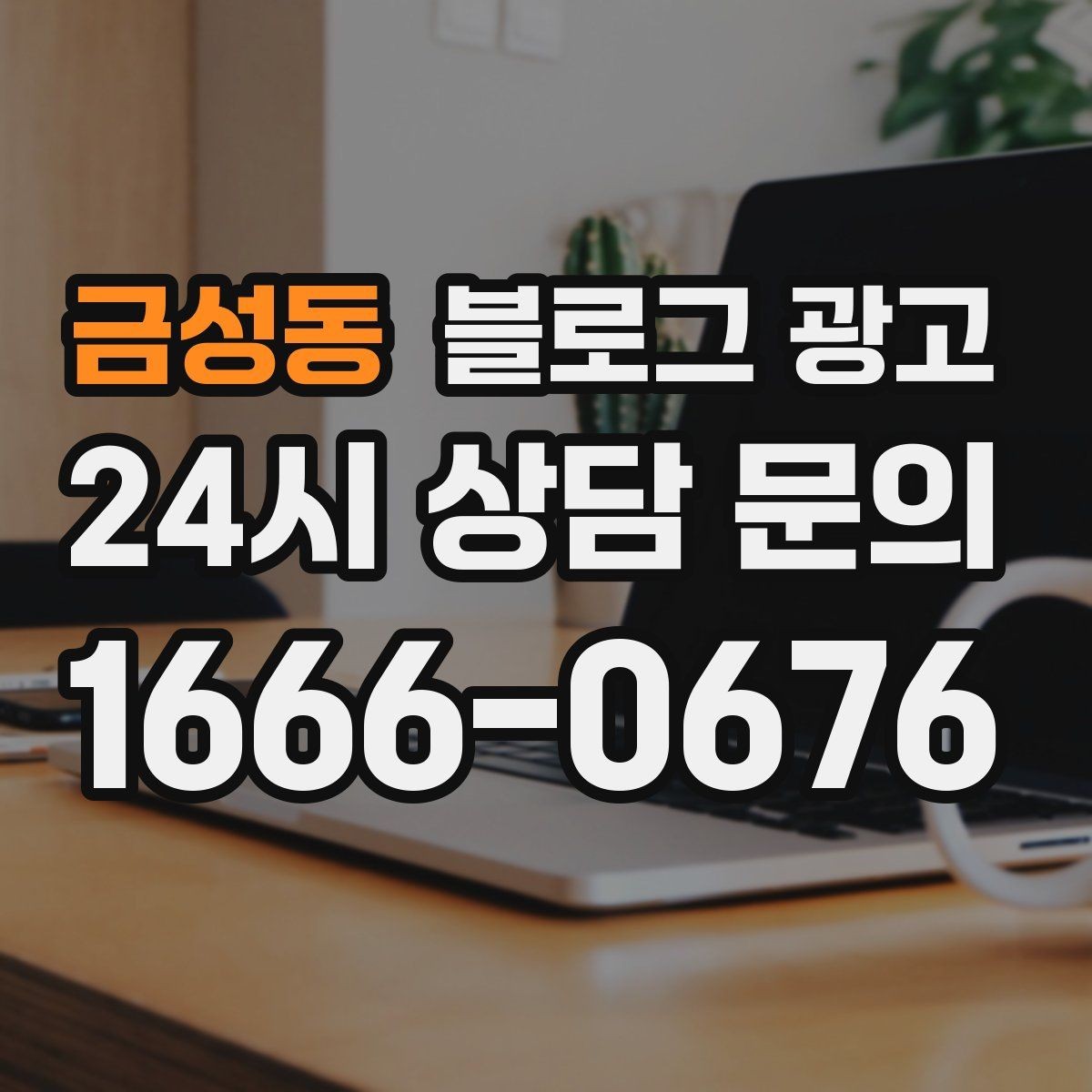 금성동 블로그 광고 손님과 함께 만든 추억을 모아 보여 주기