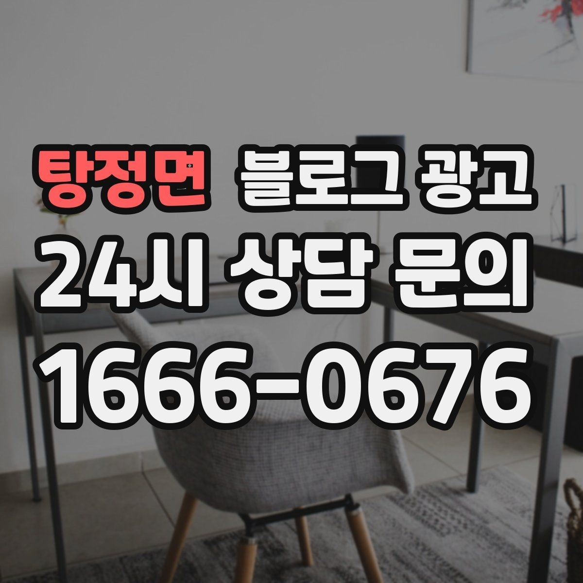 탕정면 블로그 광고 휴가철 여행객 유입을 노리는 로컬 가이드 글