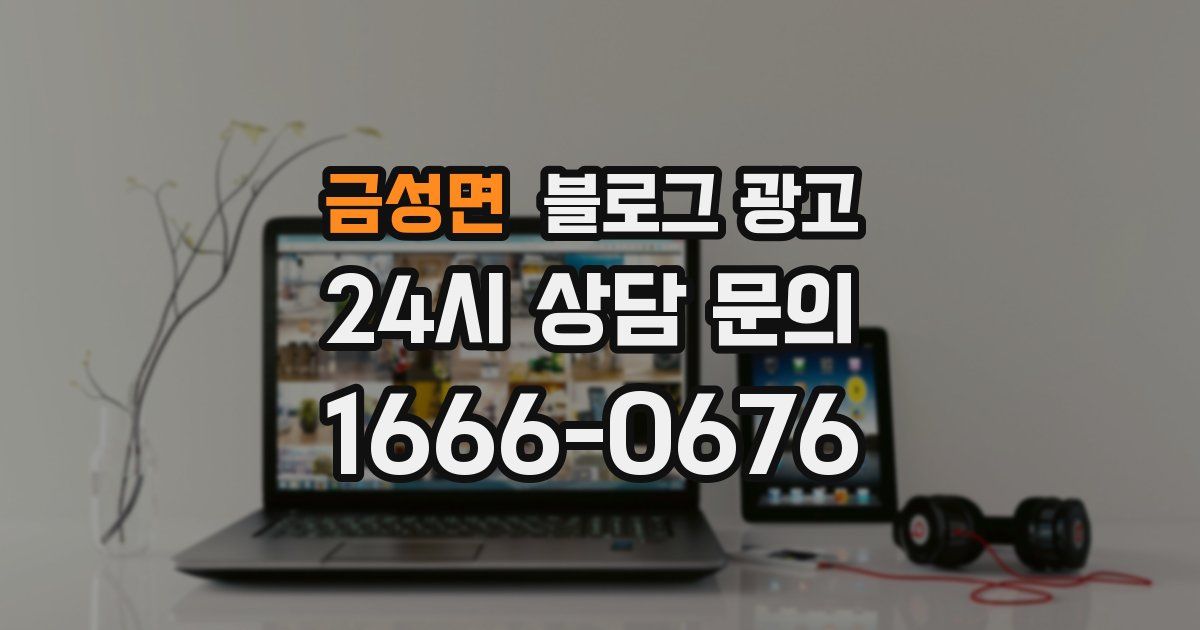 금성면 블로그 광고
