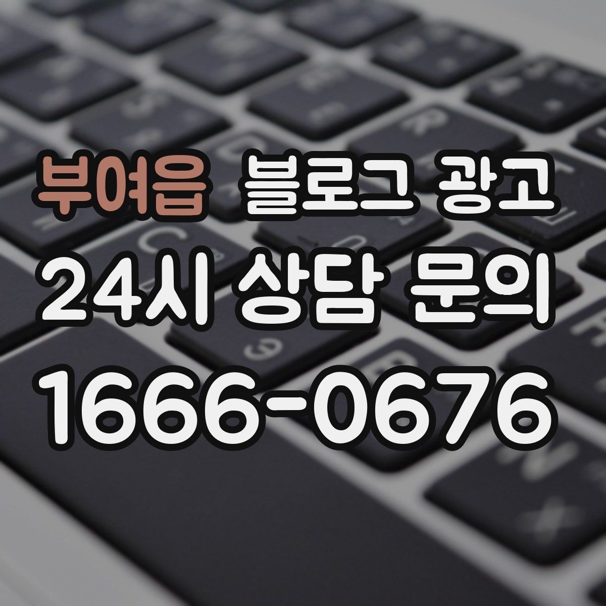 부여읍 블로그 광고 하루 서른 명에게만 정확히 노출시키는 방법