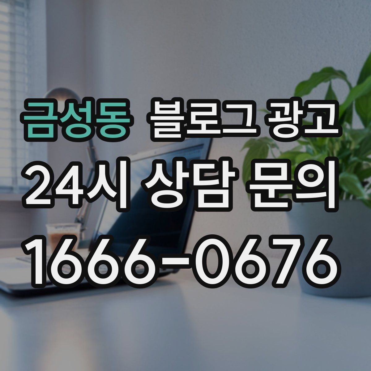 금성동 블로그 광고 고가 프리미엄 포지셔닝이 필요한 업종 전략