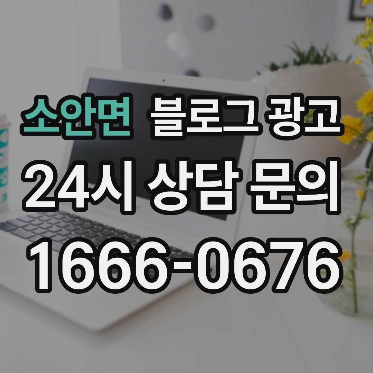 소안면 블로그 광고 밤늦게까지 켜져 있는 불빛을 알리는 제목
