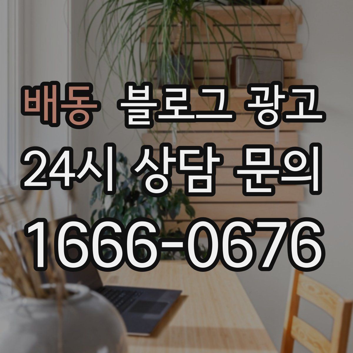 배동 블로그 광고 체인점에도 필요한 지역 맞춤 콘텐츠 기획