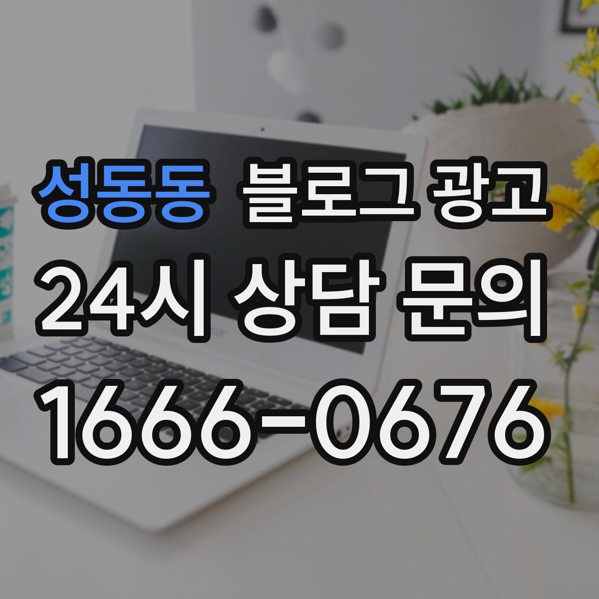 성동동 블로그 광고 요식업 신규 메뉴 런칭을 알리는 콘텐츠