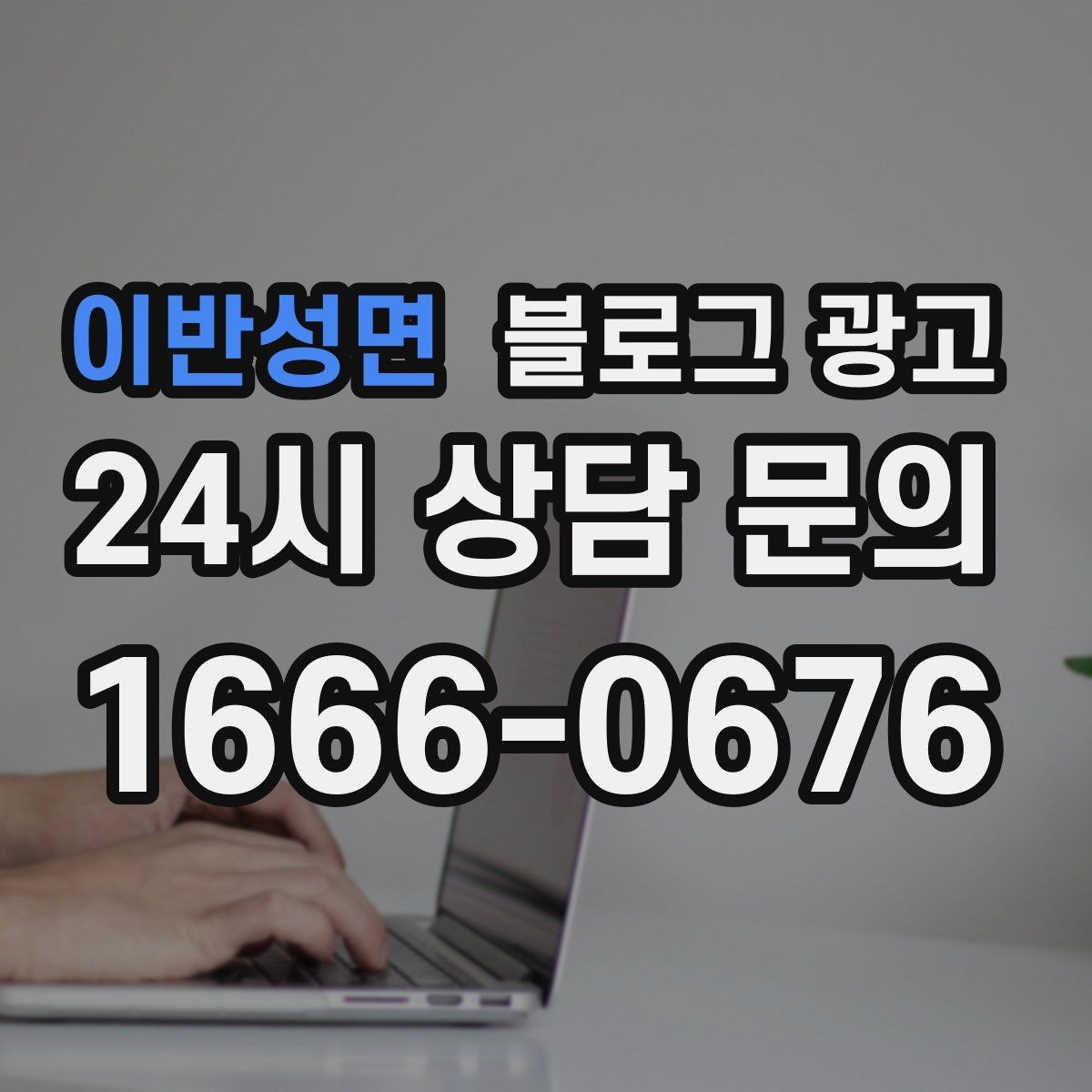 이반성면 블로그 광고 반려동물 병원과 미용샵을 위한 정보 글