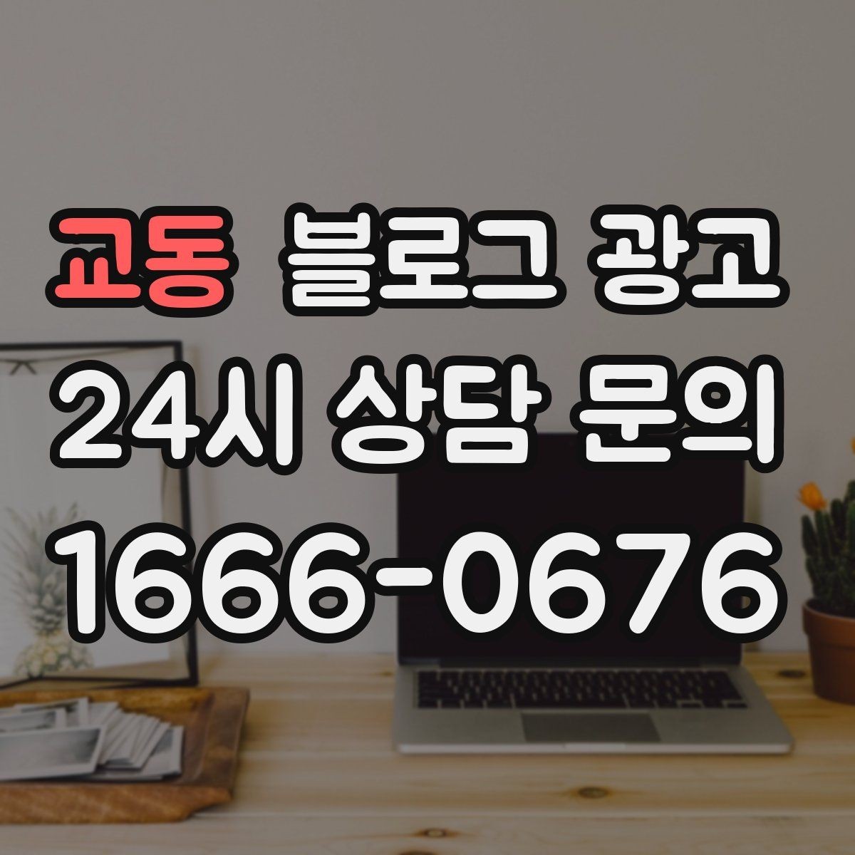 교동 블로그 광고 계절에 따라 달라지는 서비스 소개 아이디어