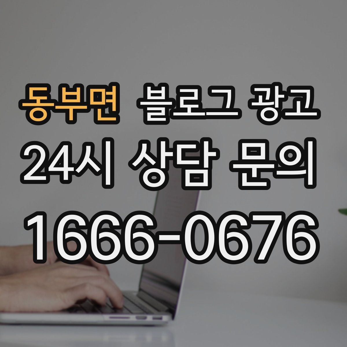 동부면 블로그 광고 가족이 함께 운영하는 매장을 소개하는 법