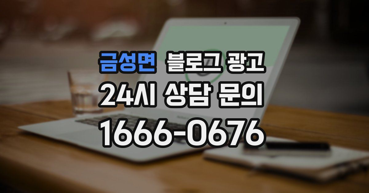 금성면 블로그 광고