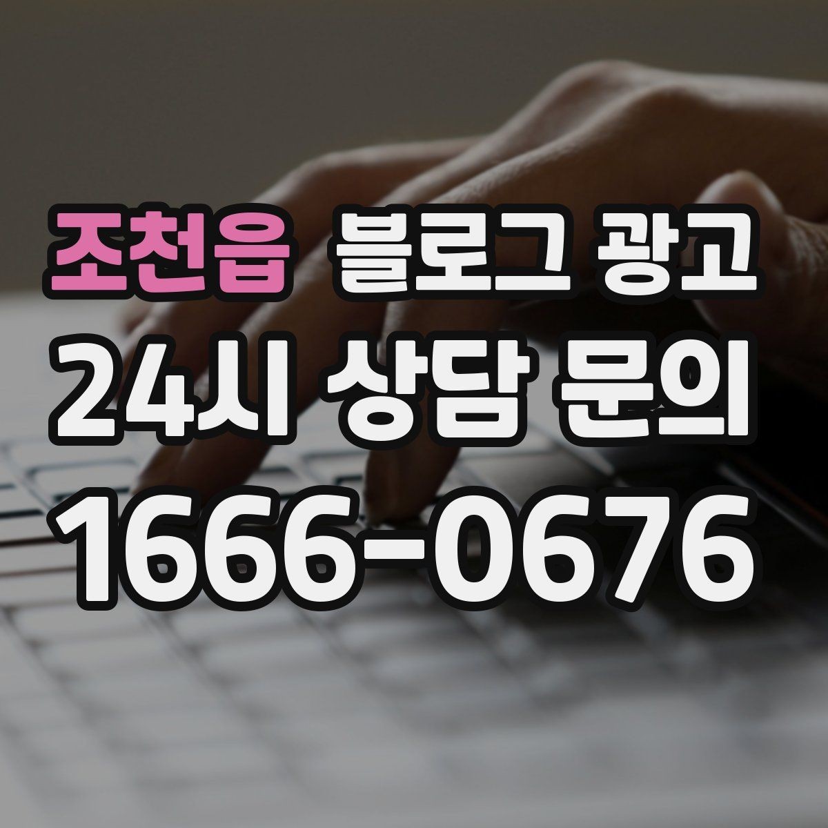 조천읍 블로그 광고 계절 한정 메뉴와 시즌 패키지 소개 제목