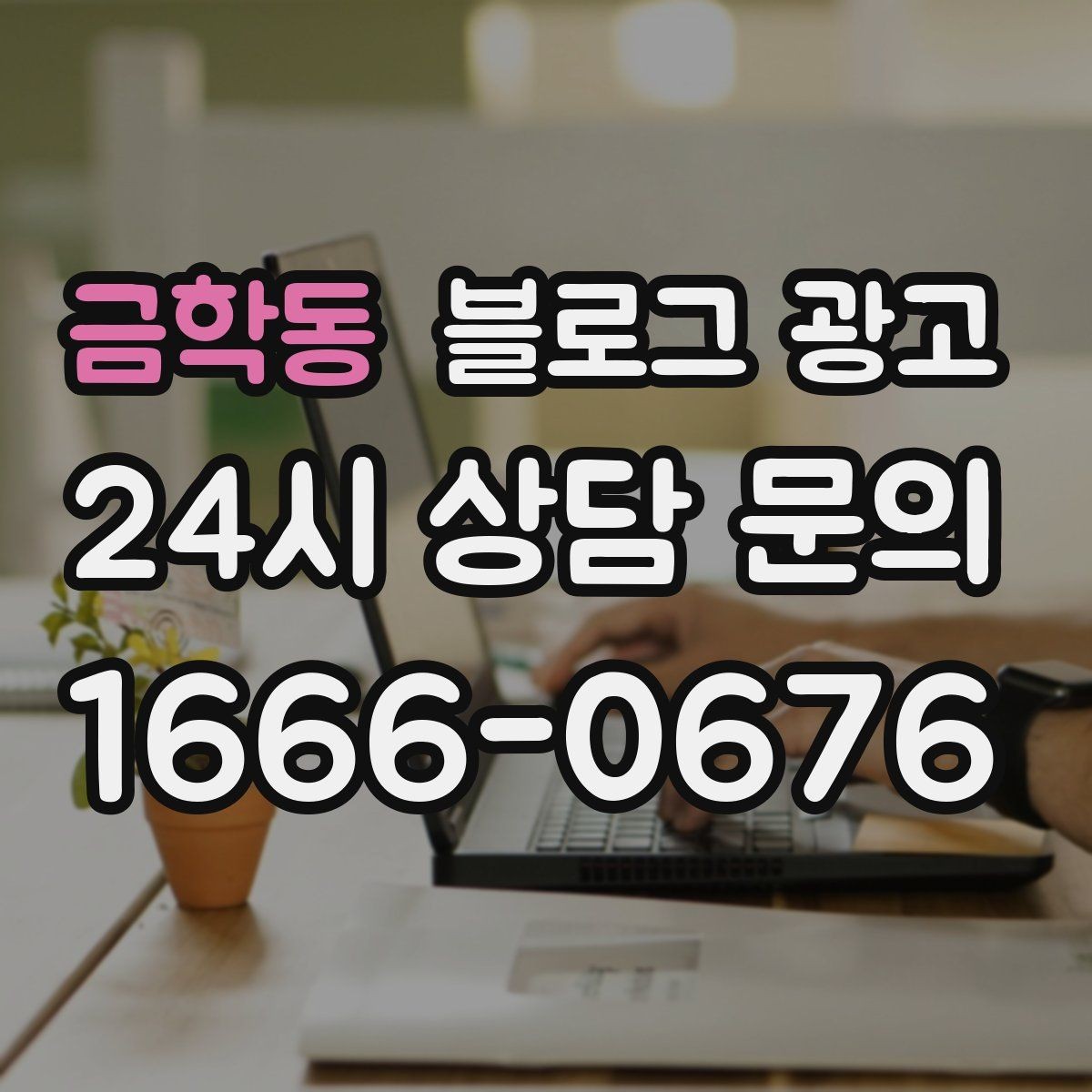 금학동 블로그 광고 동네 행사와 축제 일정에 맞춘 노출 전략