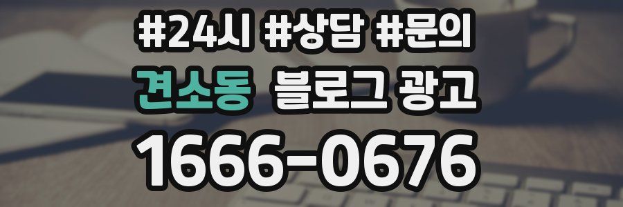 견소동 브랜드 블로그