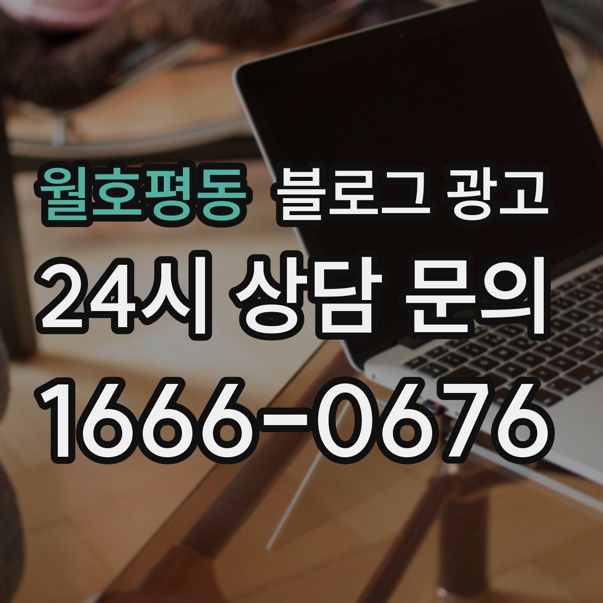 월호평동 블로그 광고 추운 겨울에 따뜻함이 필요한 손님을 위한 제목