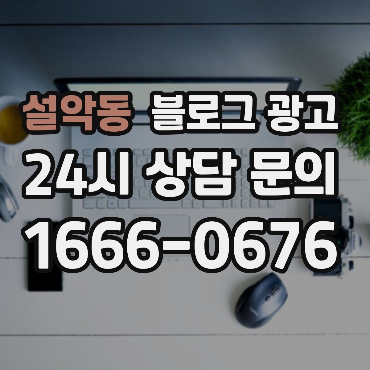 설악동 블로그 광고 테이크아웃 전용 메뉴를 따로 알려 주는 법