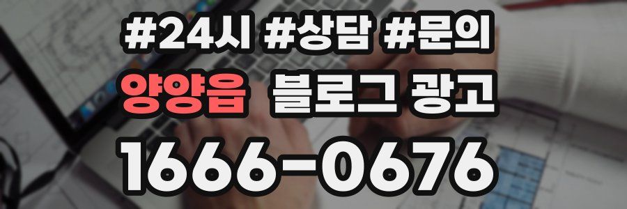 양양읍 브랜드 블로그