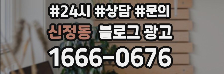 신정동 브랜드 블로그