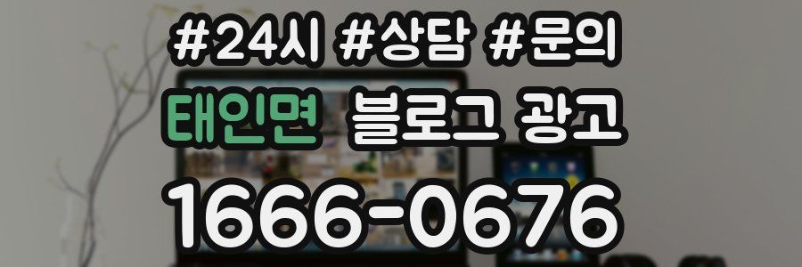태인면 브랜드 블로그