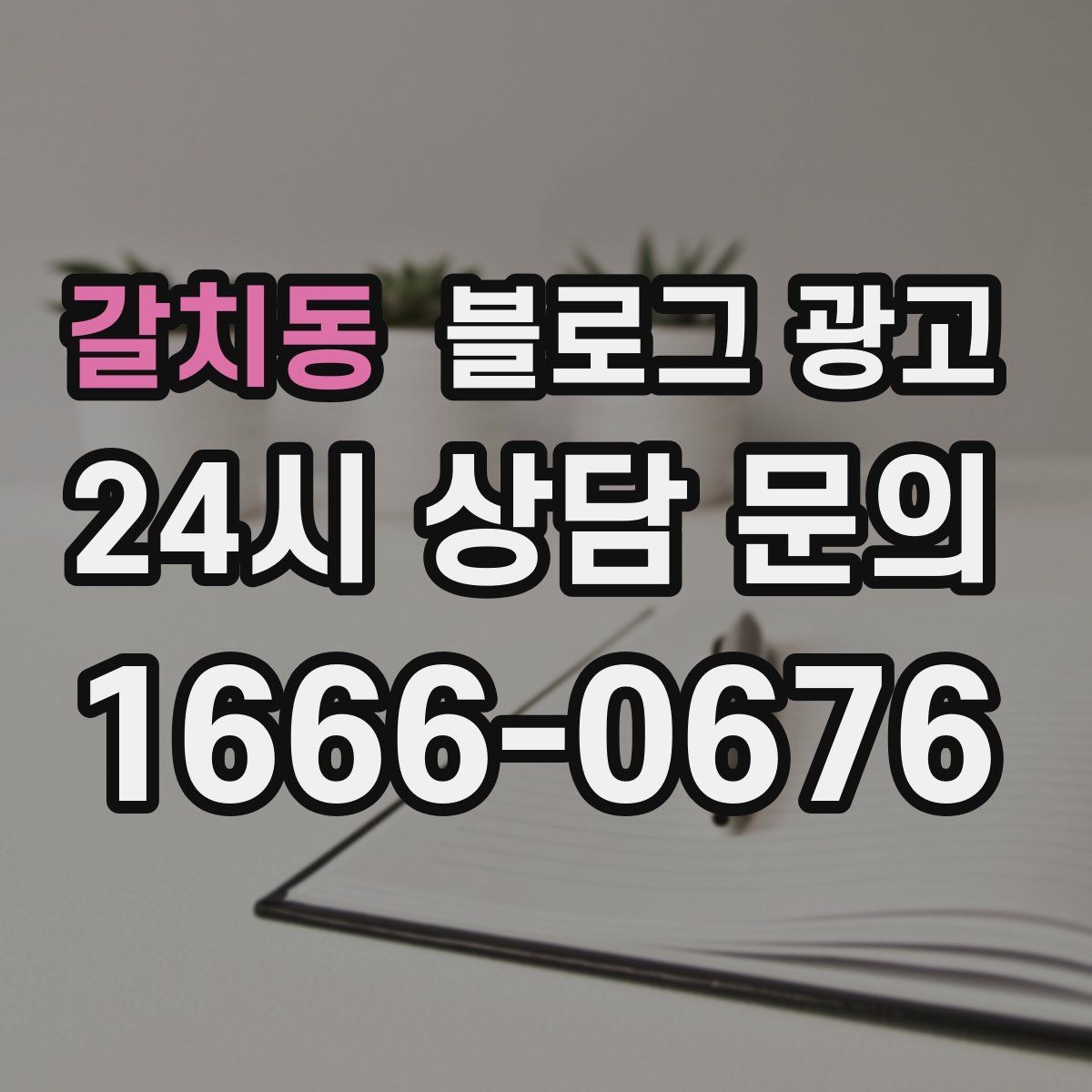 갈치동 블로그 광고 일주일에 한 번만 올려도 효과 보는 운영법