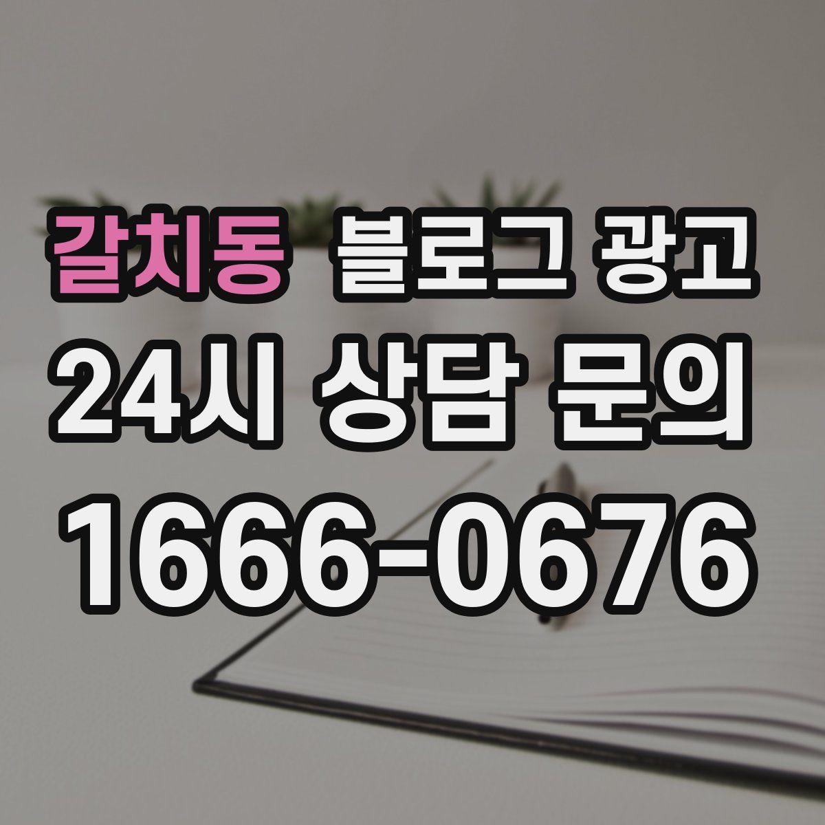갈치동 블로그 광고