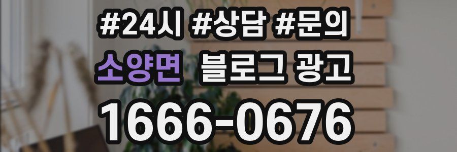 소양면 브랜드 블로그