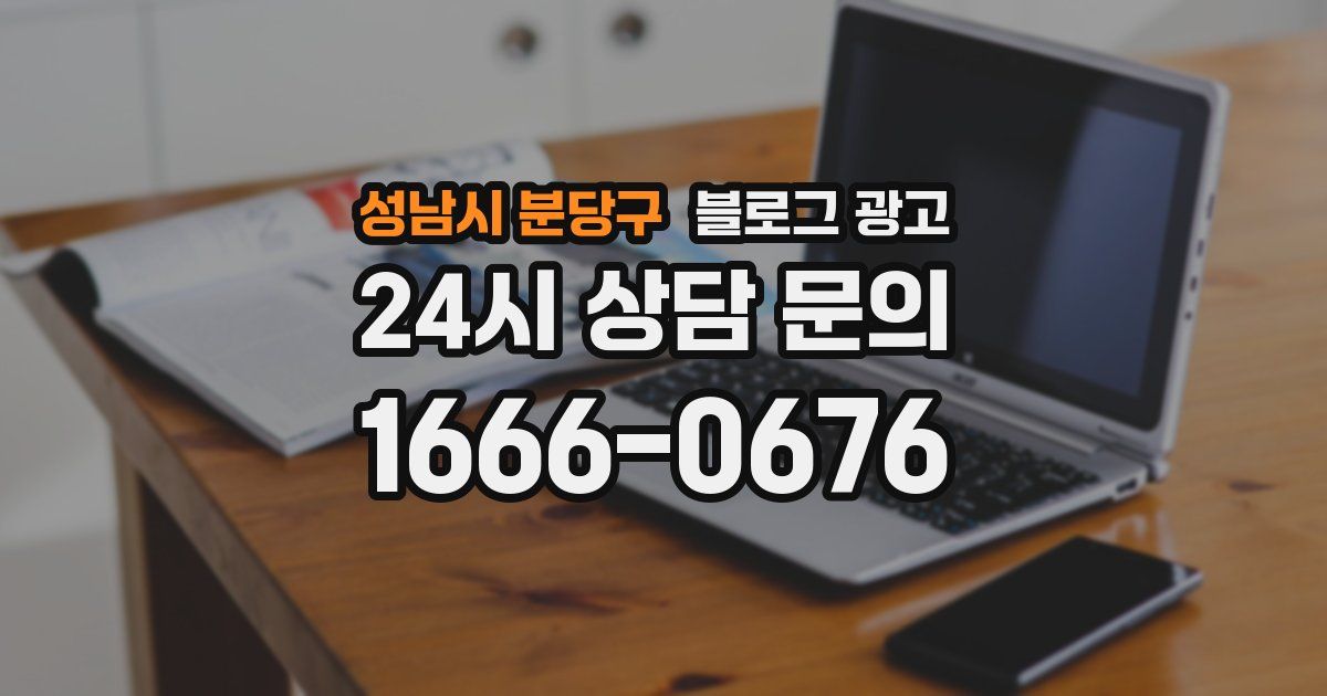 성남시 분당구 블로그 광고