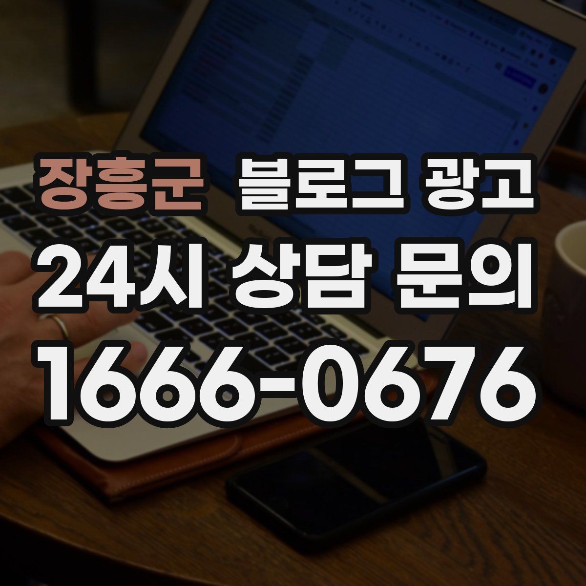 장흥군 블로그 광고 여러 서비스 패키지를 한눈에 정리하는 구성