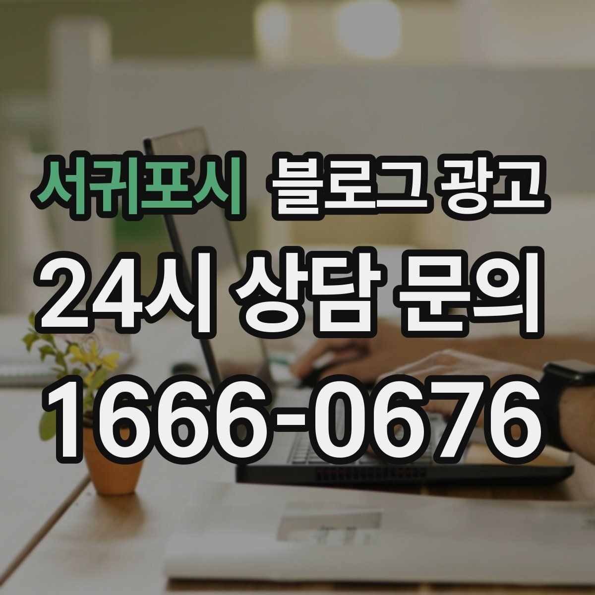 서귀포시 블로그 광고 체인점에도 필요한 지역 맞춤 콘텐츠 기획