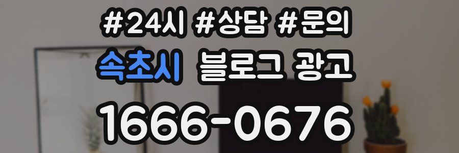 속초시 브랜드 블로그