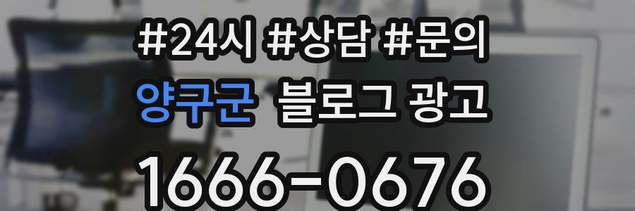 양구군 브랜드 블로그