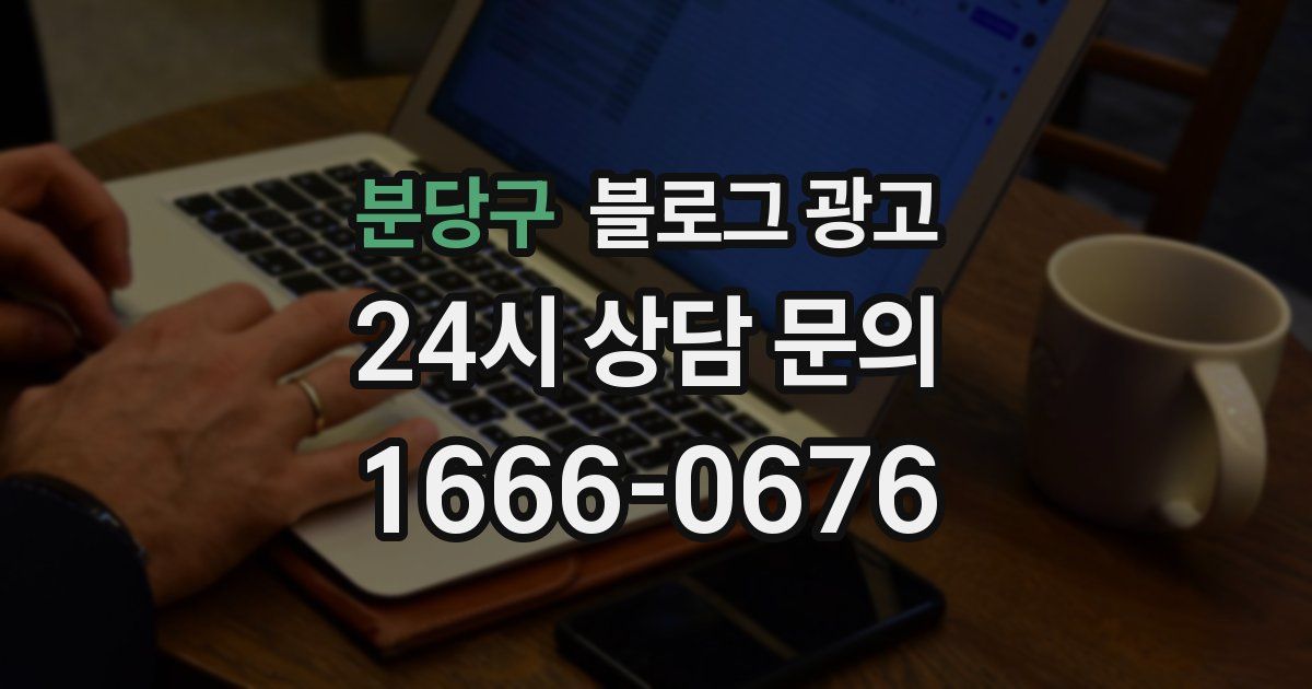 분당구 블로그 광고