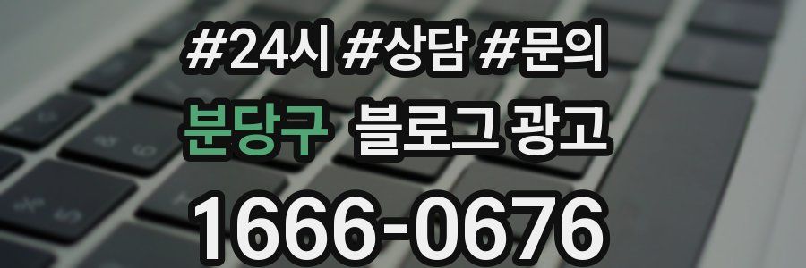 분당구 브랜드 블로그