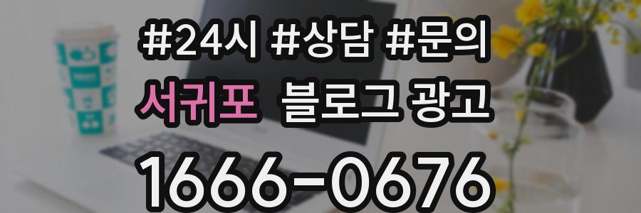 서귀포 브랜드 블로그