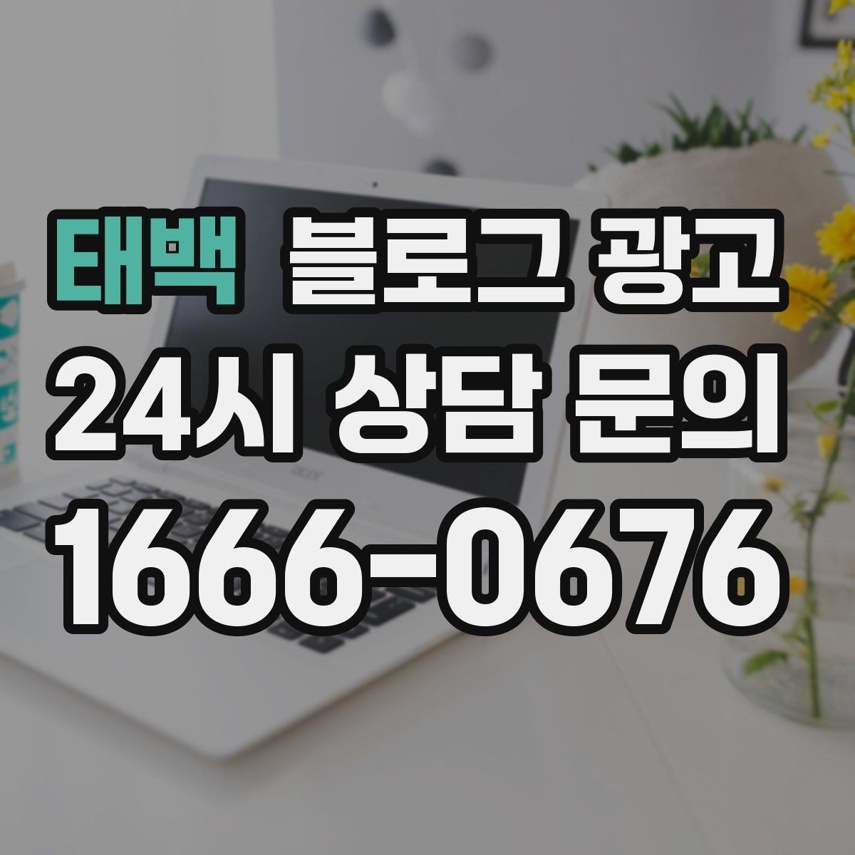 태백 블로그 광고 언젠가 책으로 묶고 싶은 기록을 미리 쌓는 법